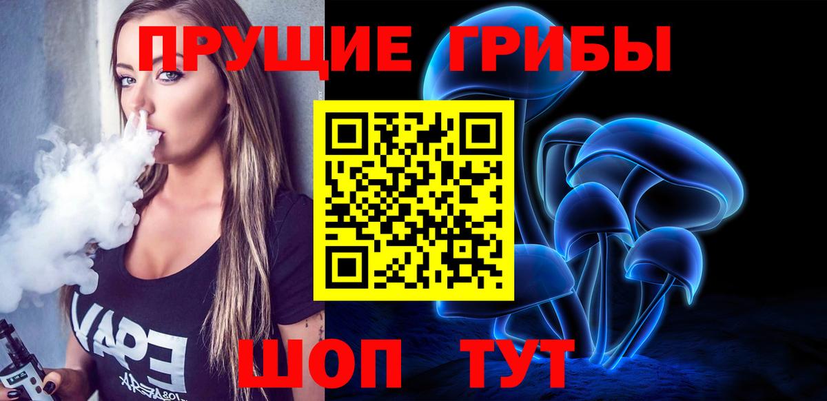 Галлюциногенные грибы Psilocybe Славгород