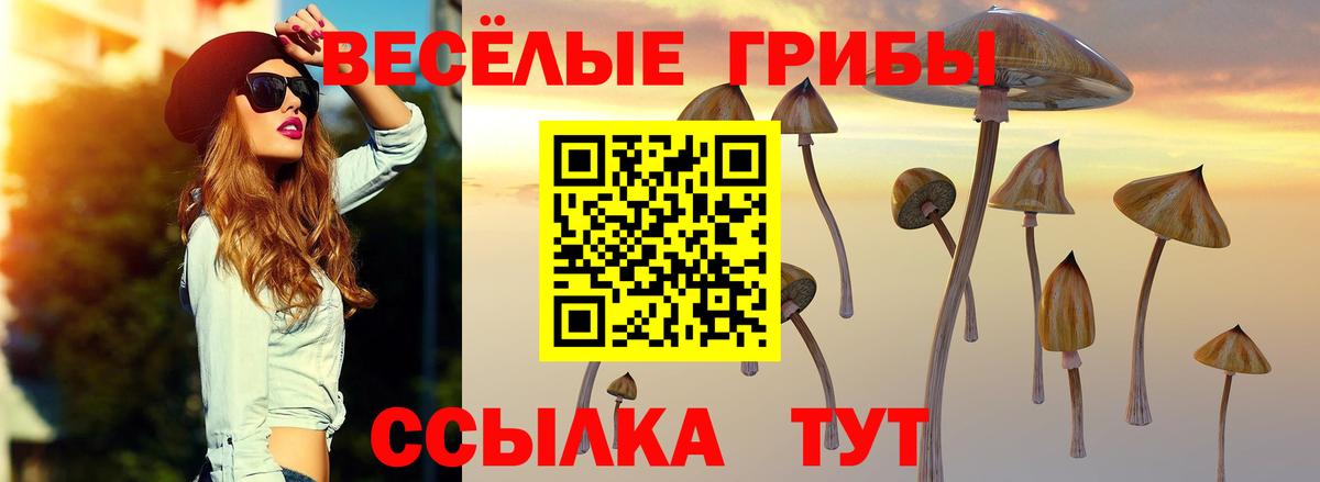 Славгород  Галлюциногенные грибы Magic Shrooms  Вход с VPN 