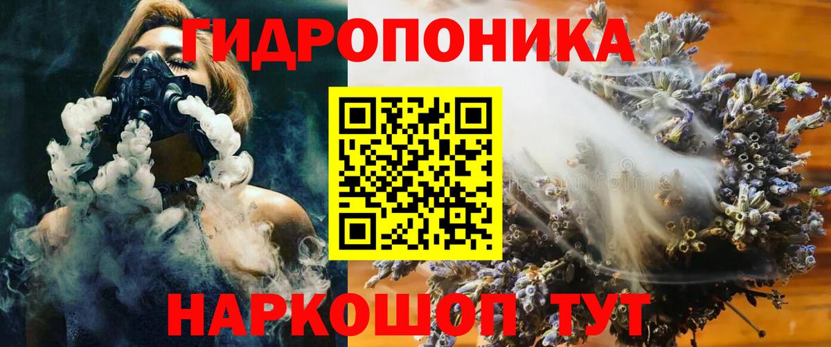 Канабис конопля Славгород